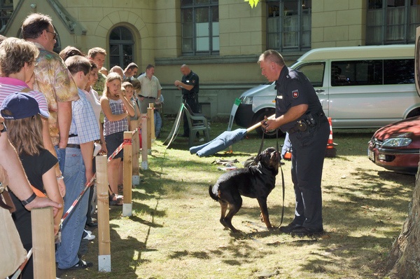 Polizeidirektion   122.jpg